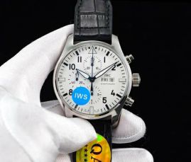 Picture of IWC Watch _SKU1616852149761528